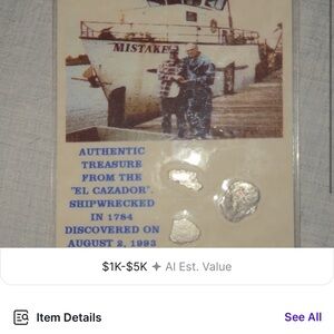 Authentic Shipwreck Treasure with Silver Coins